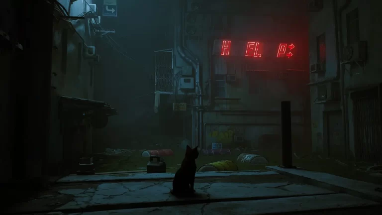 stray