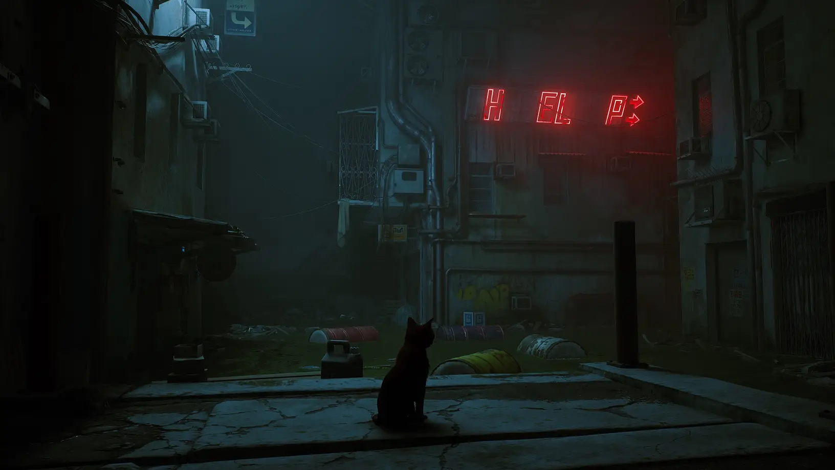 stray